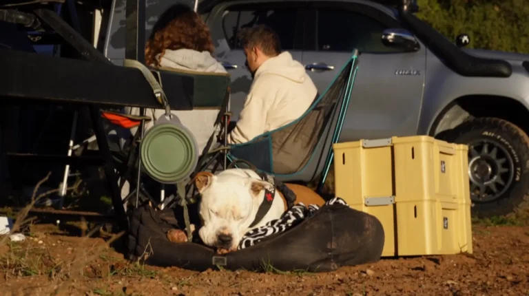 EXPO ADN OVERLAND_OVERLAND BUSHCRAFT SUPERVIVENCIA