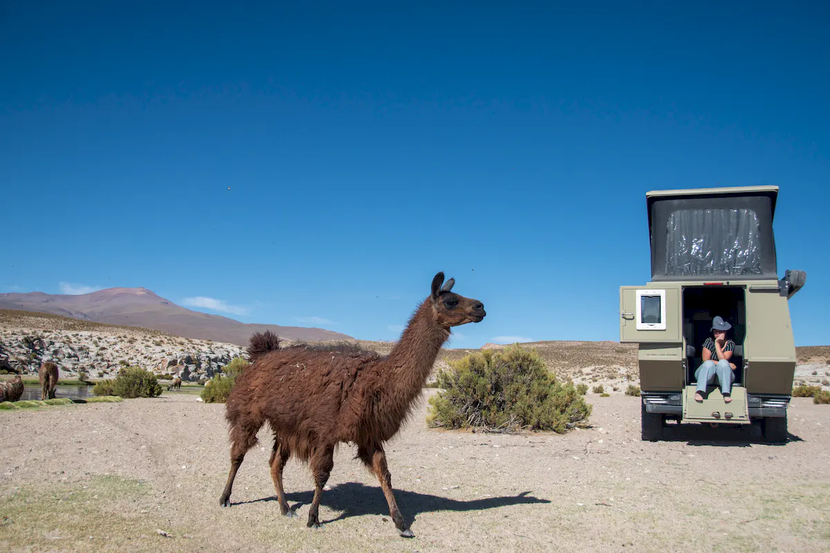 Una pickup 4x4 con la célula vivienda Pioneer de Land Roamer en un desierto de sudamérica junto a una lama